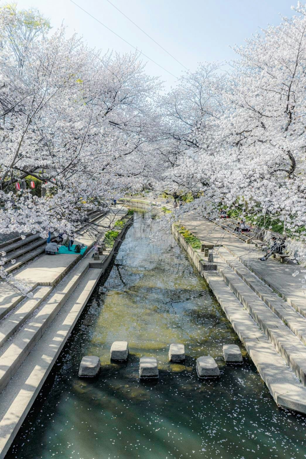 🏞️ 아라카와·스나마치 수변공원(아라카와·스나마치미즈베코엔) 이미지 8